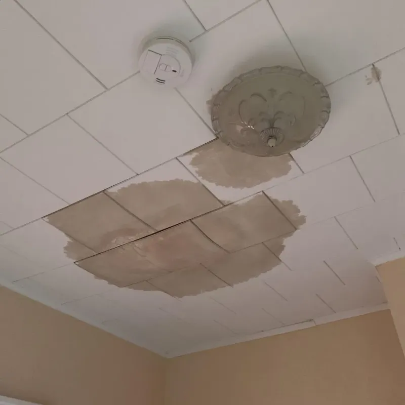 Ceiling Water Damage Repair in Rockwood, TN