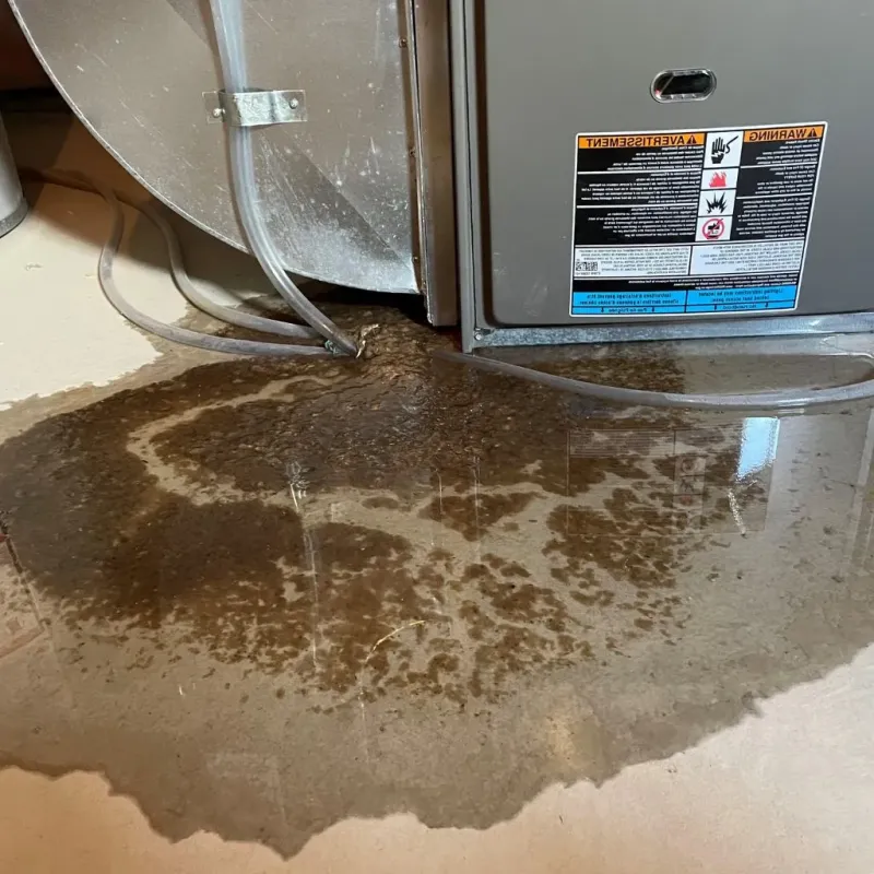 Pipe Burst and Leak Restoration in Rockwood, TN