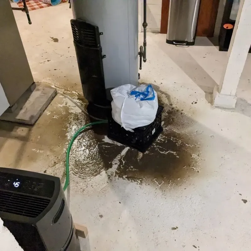 Sewage Backup Cleanup Service in Rockwood, TN